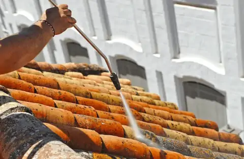 Nettoyage de toitures - Briollay